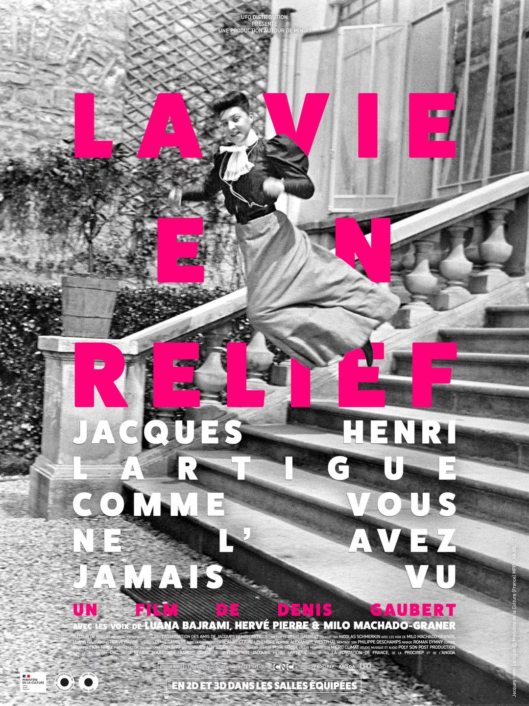 La Vie En Relief poster