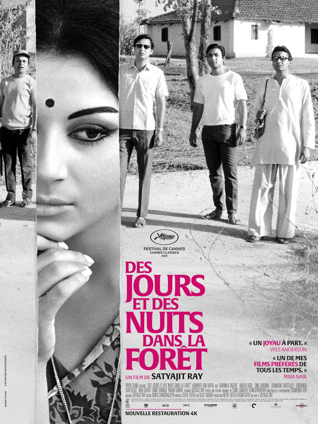Affiche DES JOURS ET DES NUITS DANS LA FORET