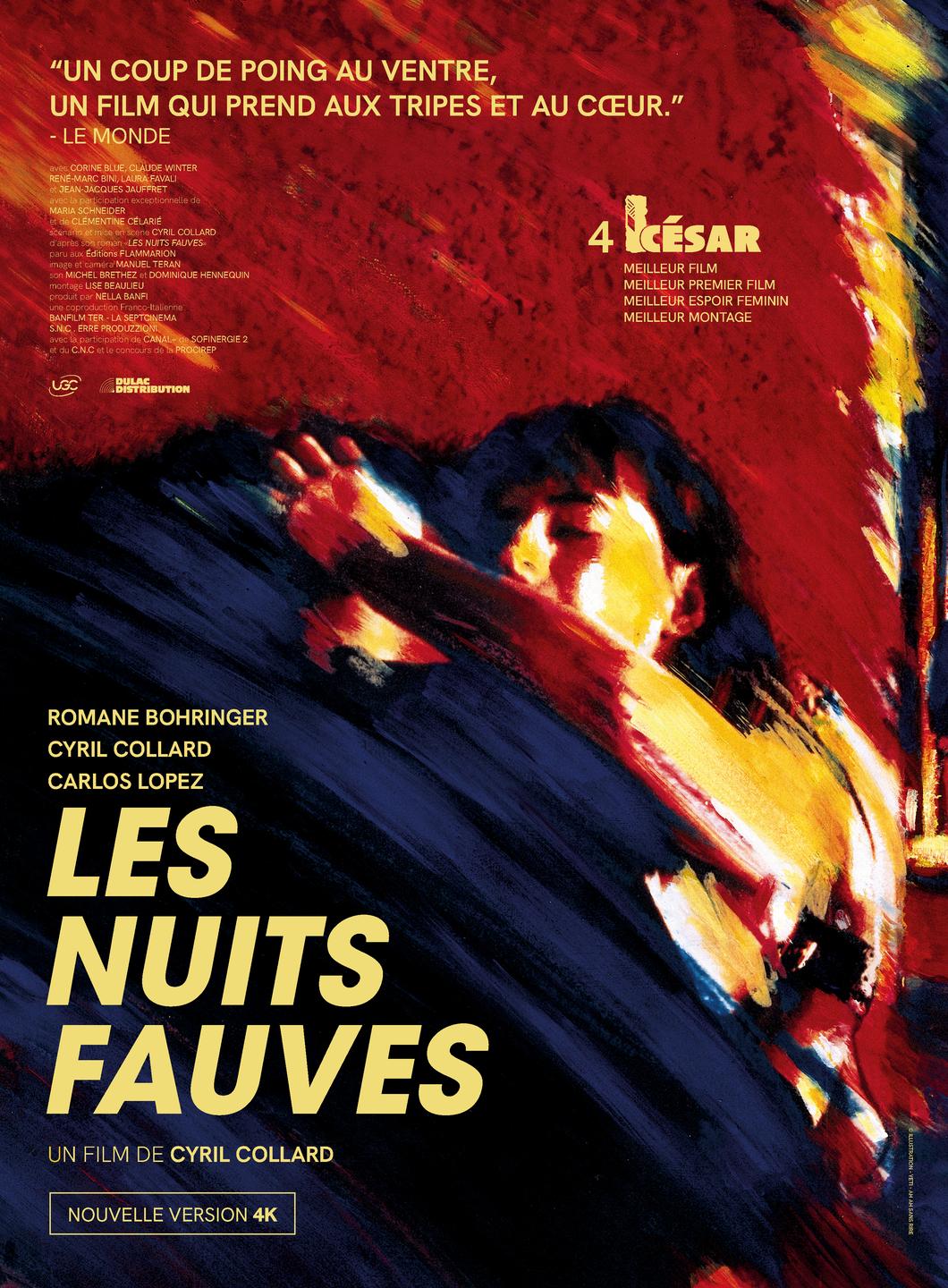 Affiche de Les Nuits Fauves