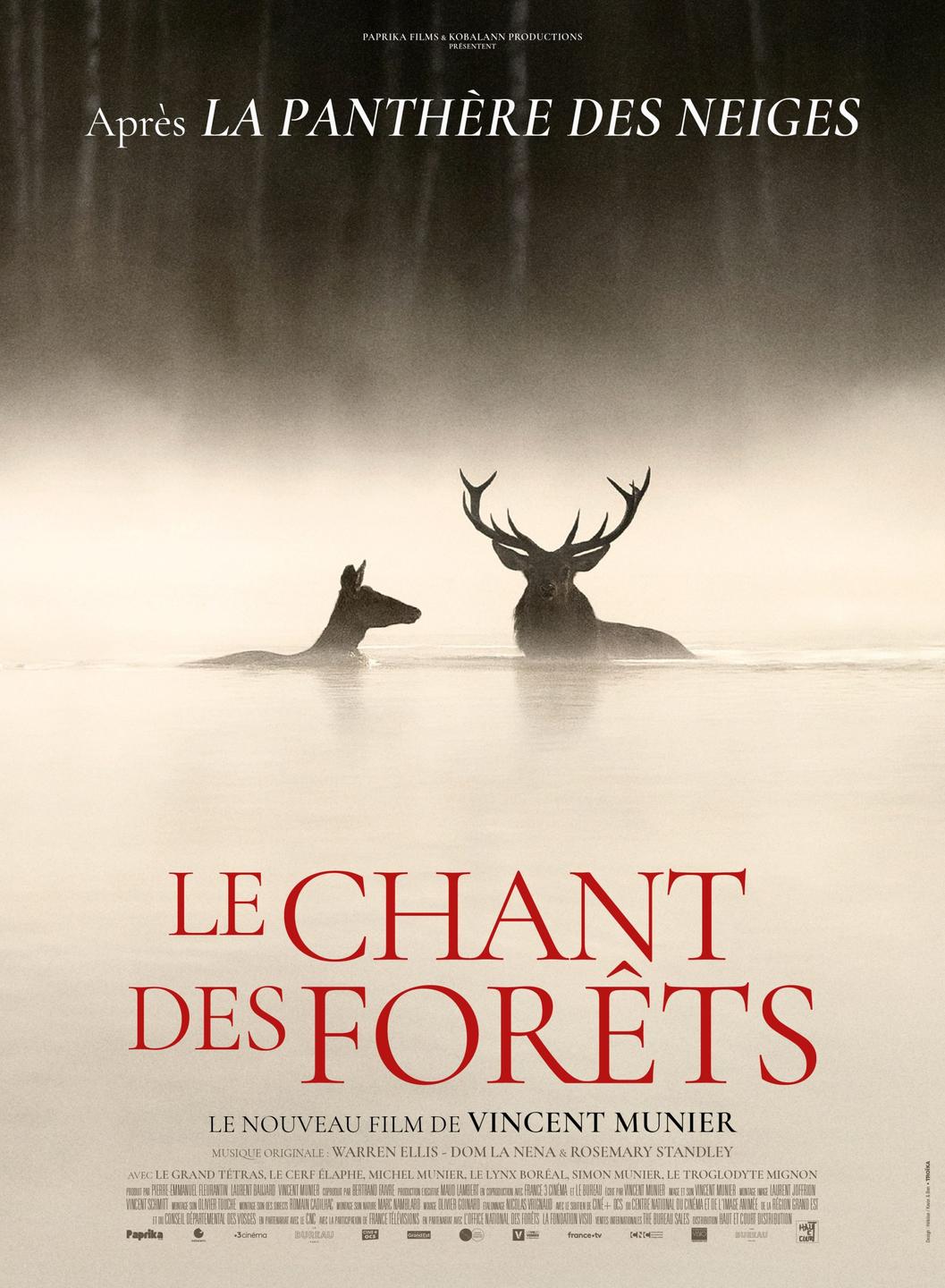 Affiche du film LE CHANT DES FORETS