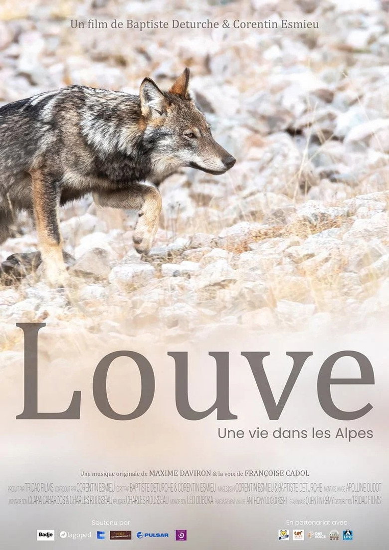 Affiche de Louve Une Vie Dans Les Alpes